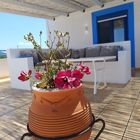 Nautilus Beach House Παραδείσι Εξωτερικό φωτογραφία