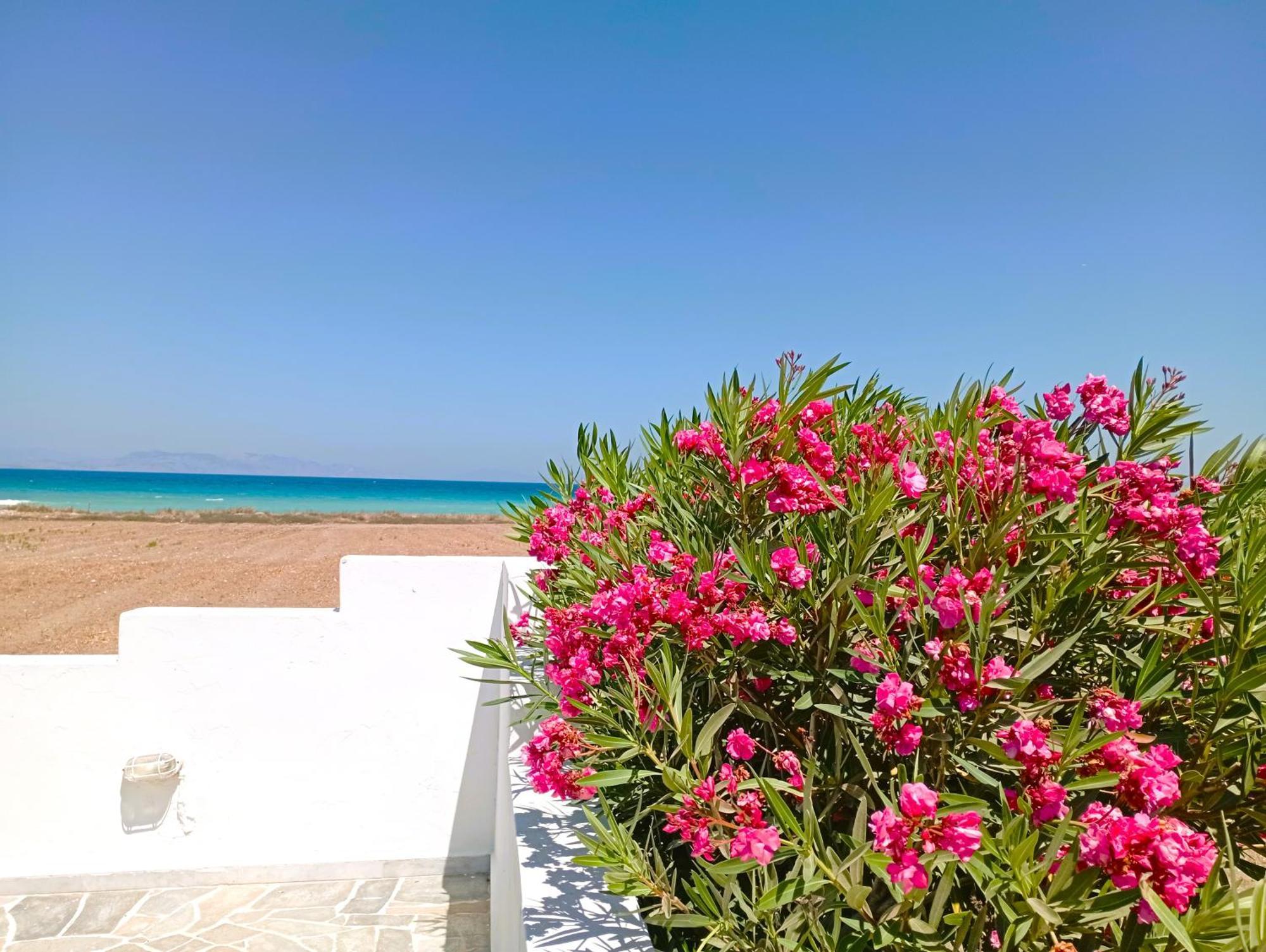 Nautilus Beach House Παραδείσι Εξωτερικό φωτογραφία