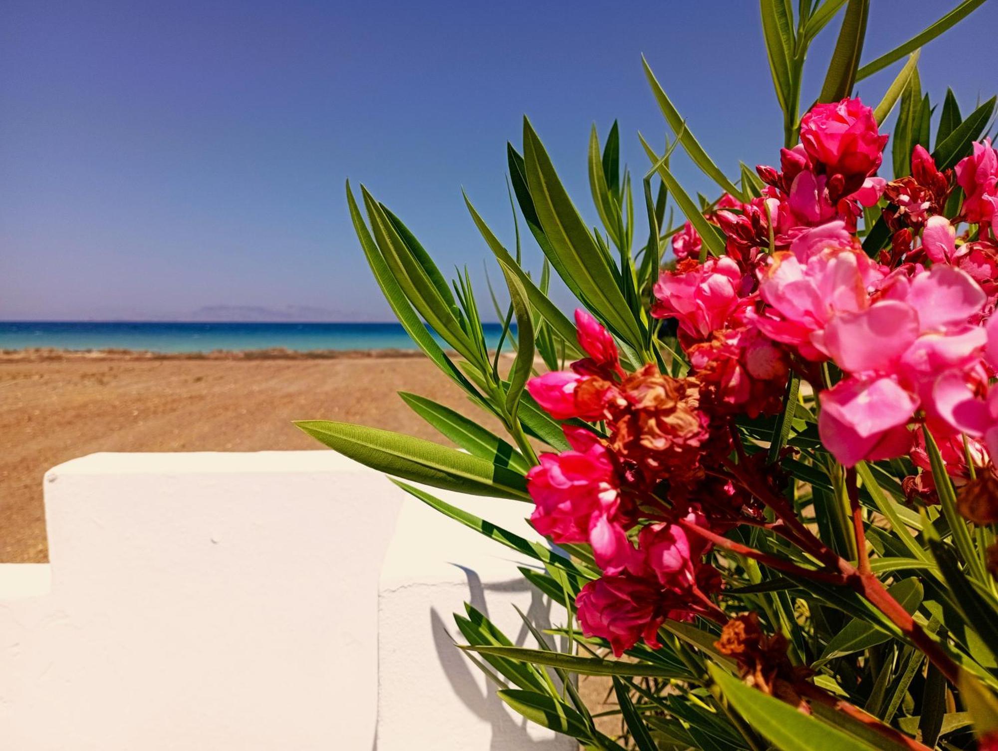 Nautilus Beach House Παραδείσι Εξωτερικό φωτογραφία