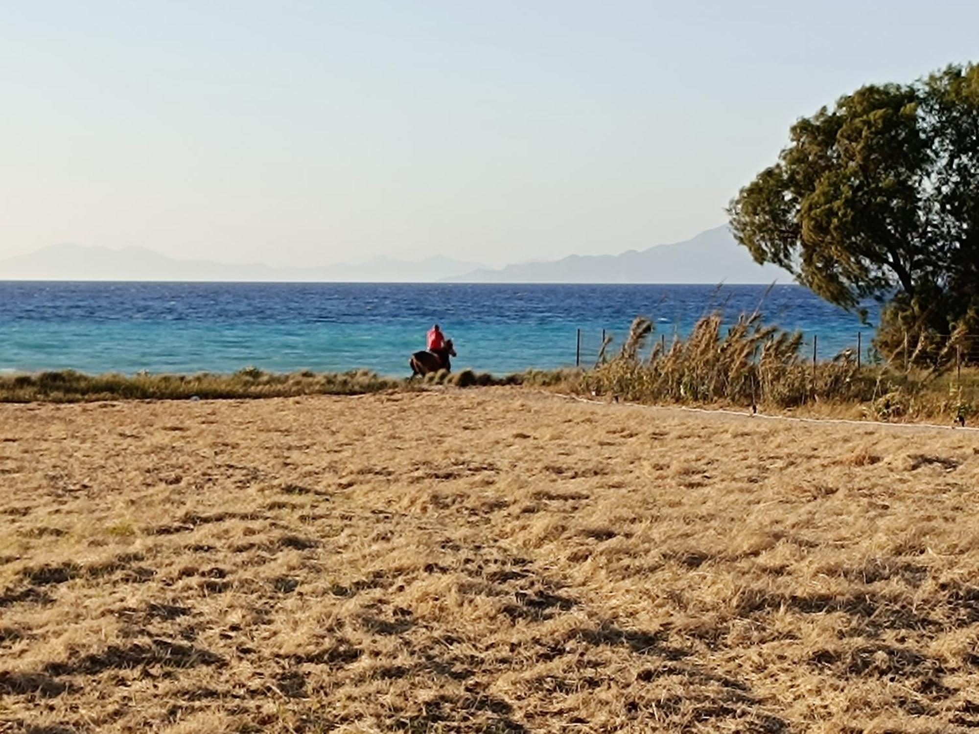 Nautilus Beach House Παραδείσι Εξωτερικό φωτογραφία