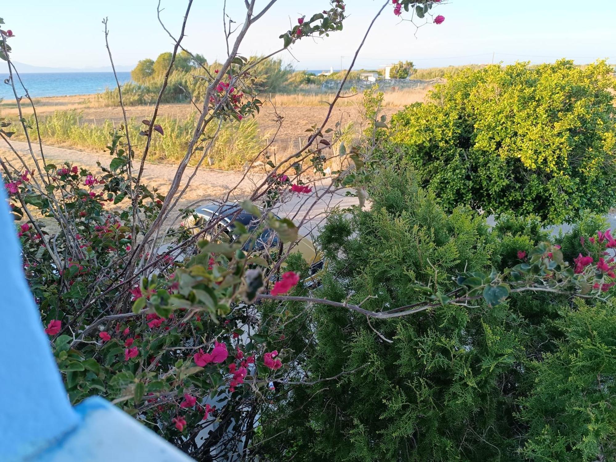 Nautilus Beach House Παραδείσι Εξωτερικό φωτογραφία