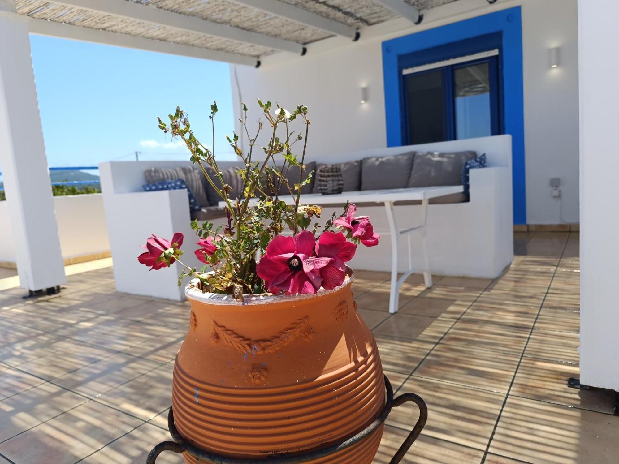Nautilus Beach House Παραδείσι Εξωτερικό φωτογραφία