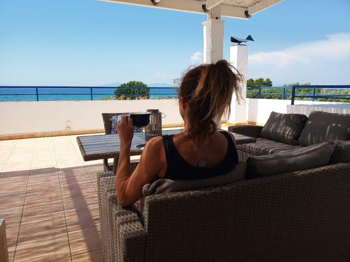 Nautilus Beach House Παραδείσι Εξωτερικό φωτογραφία